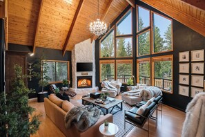 Smart TV, fireplace, video games, books