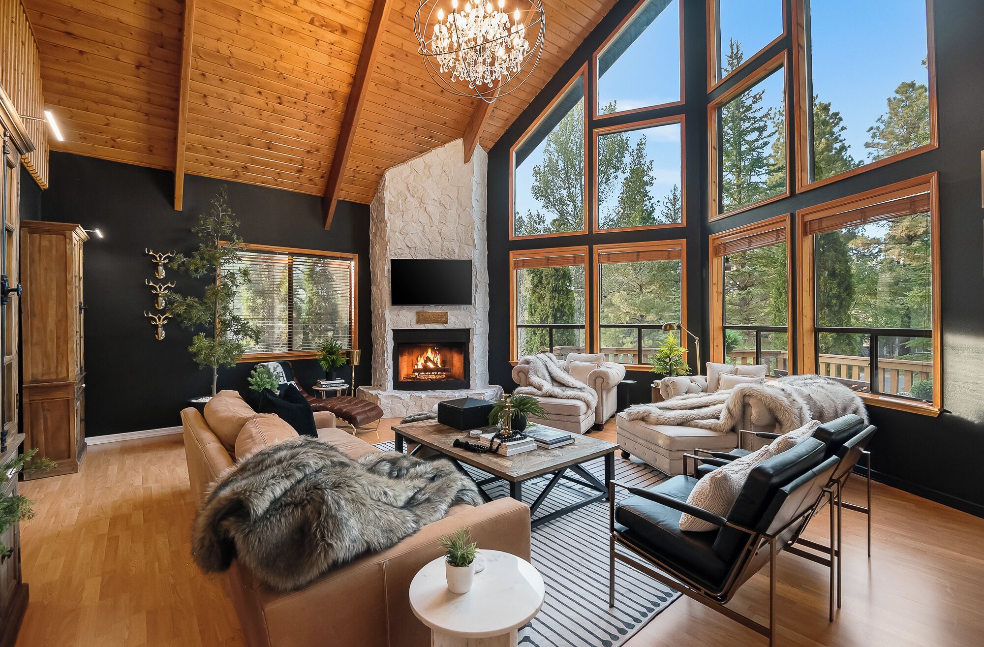 Smart TV, chimenea, videojuegos y libros 