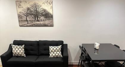 Roomy Downtown TH Apt near tourist sites