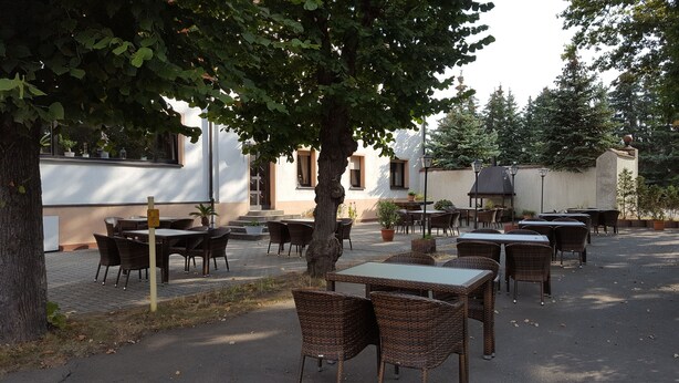 Een terras met rieten tafels en stoelen, omringd door potplanten en bomen.