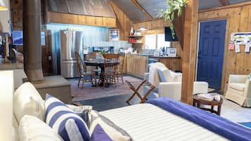 Smart TV, fireplace, books