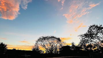 室外游泳池