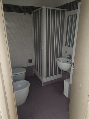 Regadera, secadora de cabello, bidet, toallas 