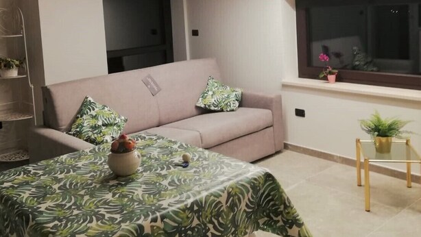 A modern living room with a sofa, a coffee table, and a window with plants.