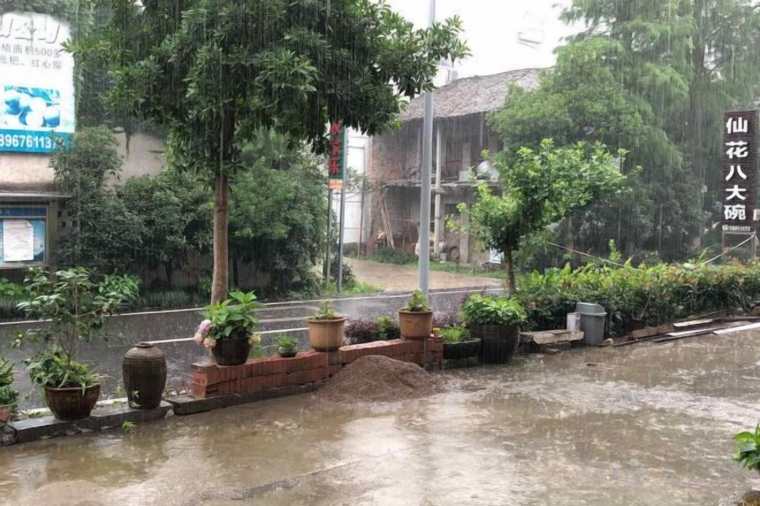 Escena callejera con aceras adornadas con macetas y un edificio con un letrero.