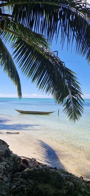 Plage, chaises longues, serviettes de plage