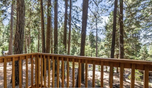 The Little Cabin in the Pines!