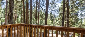 The Little Cabin in the Pines!