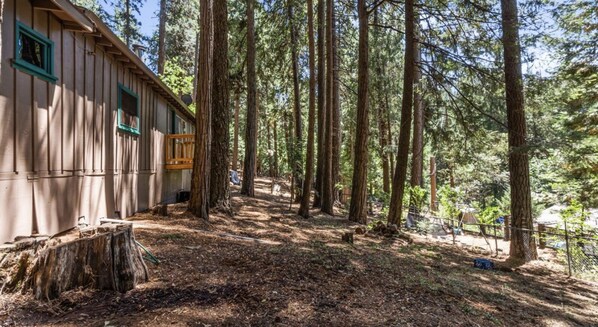 A cabin with a wooden exterior and a deck, surrounded by tall trees in a forest setting.
