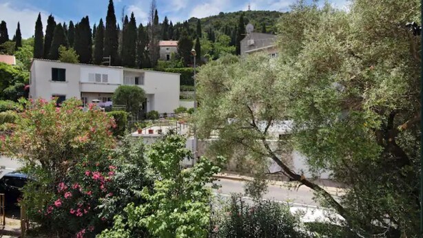 Zona residencial con un edificio blanco, rodeada de vegetación y árboles.
