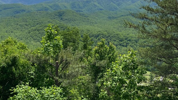 House, Multiple Beds (Mountain Splendor #448) | Miscellaneous - Mountain Splendor #448 (Gatlinburg)