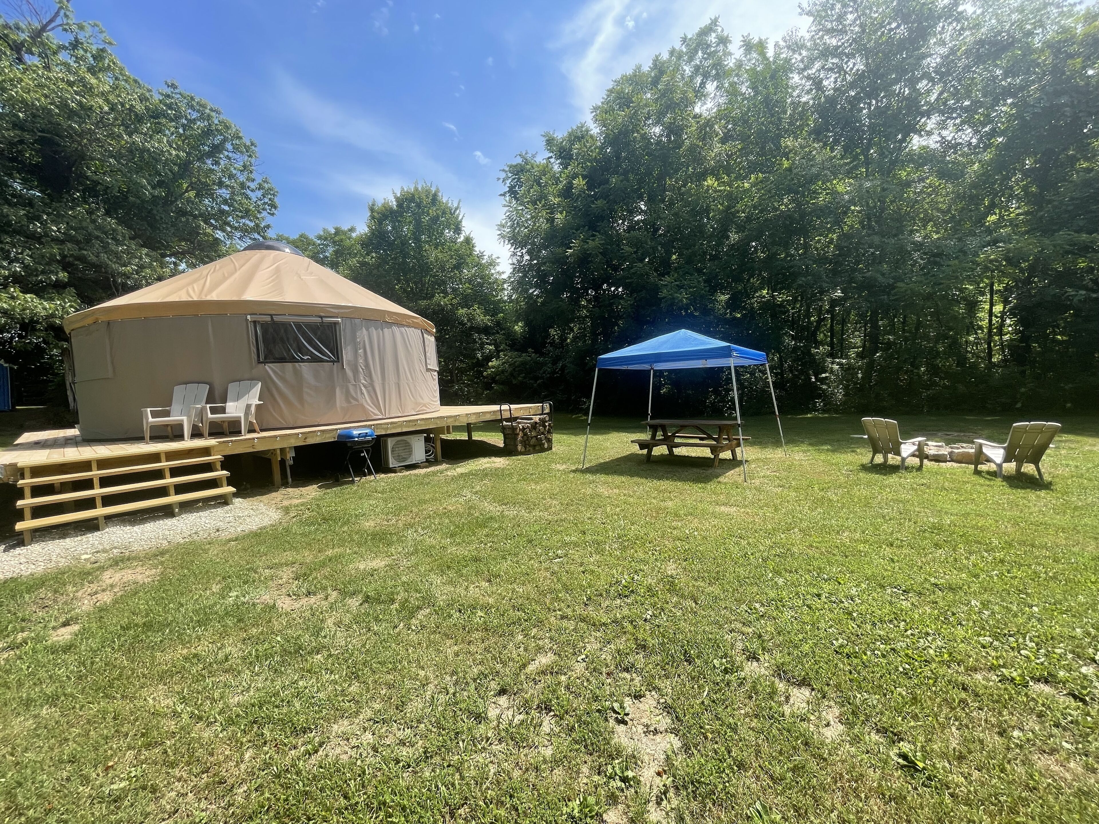 Pet friendly glamping in a private yurt with stunning 360° views by Forest