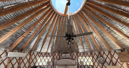 Pet friendly glamping in a private yurt with stunning 360° views by Forest