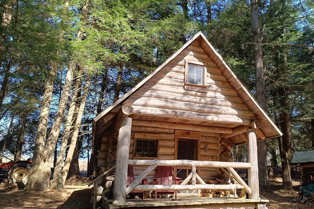 Paradise Creek Cabin