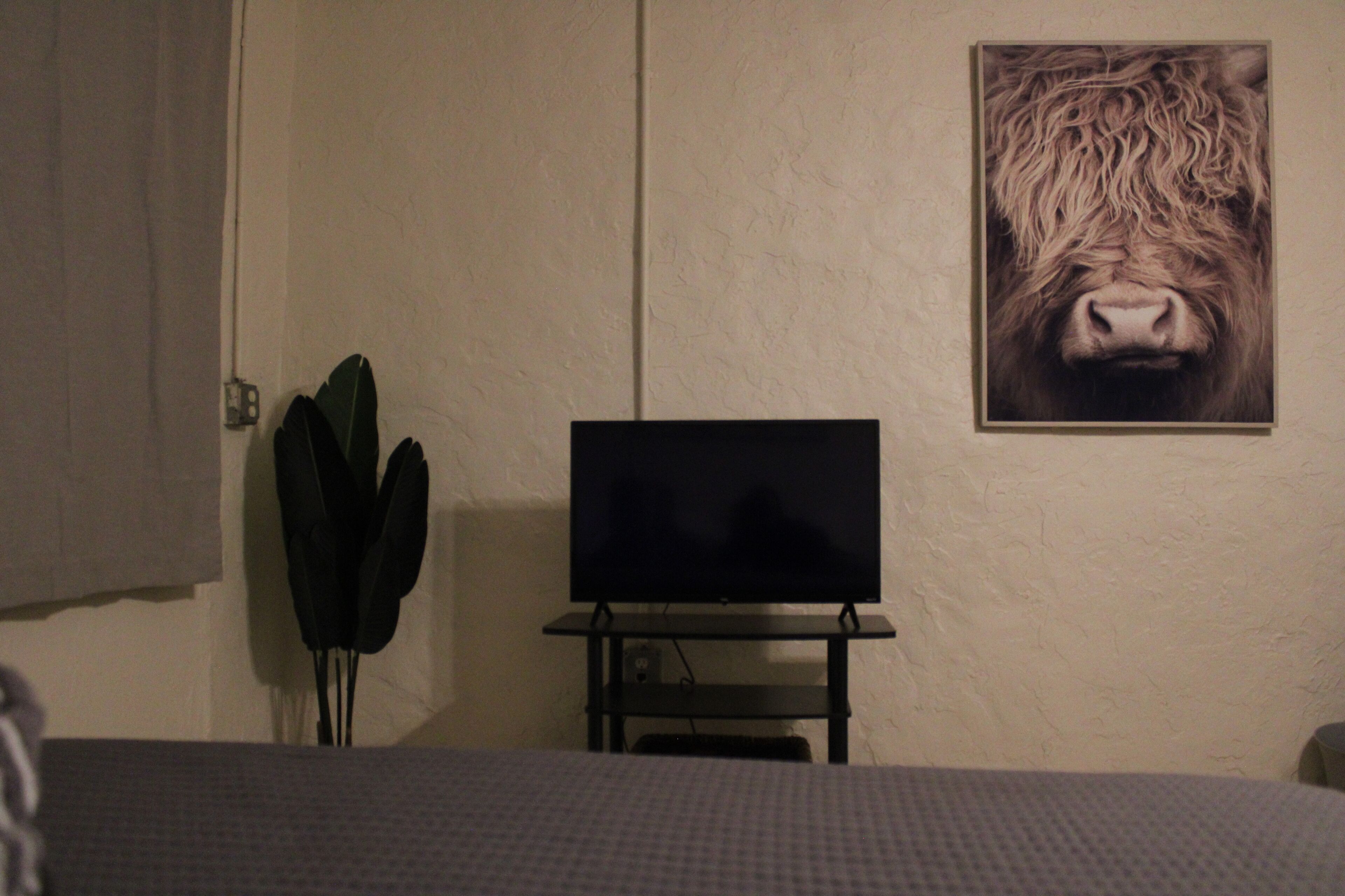 Minimalistic guest house