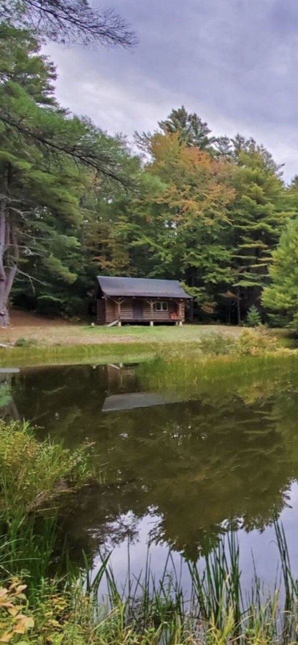 Área da propriedade