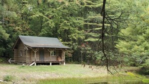 A log cabin with a porch, surrounded by a forest and a pond.