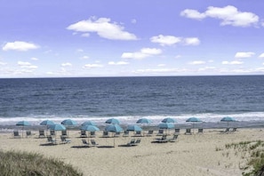 Playa en los alrededores