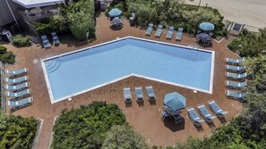 恒温泳池