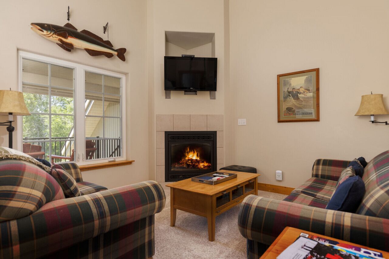 TV, fireplace, DVD player