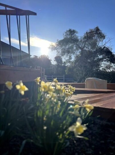 Yosemite's Nature Tranquility- EV charging/Deer viewing/Family Friendly Home