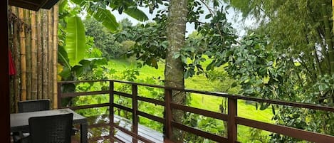 Apartment | Teres/patio