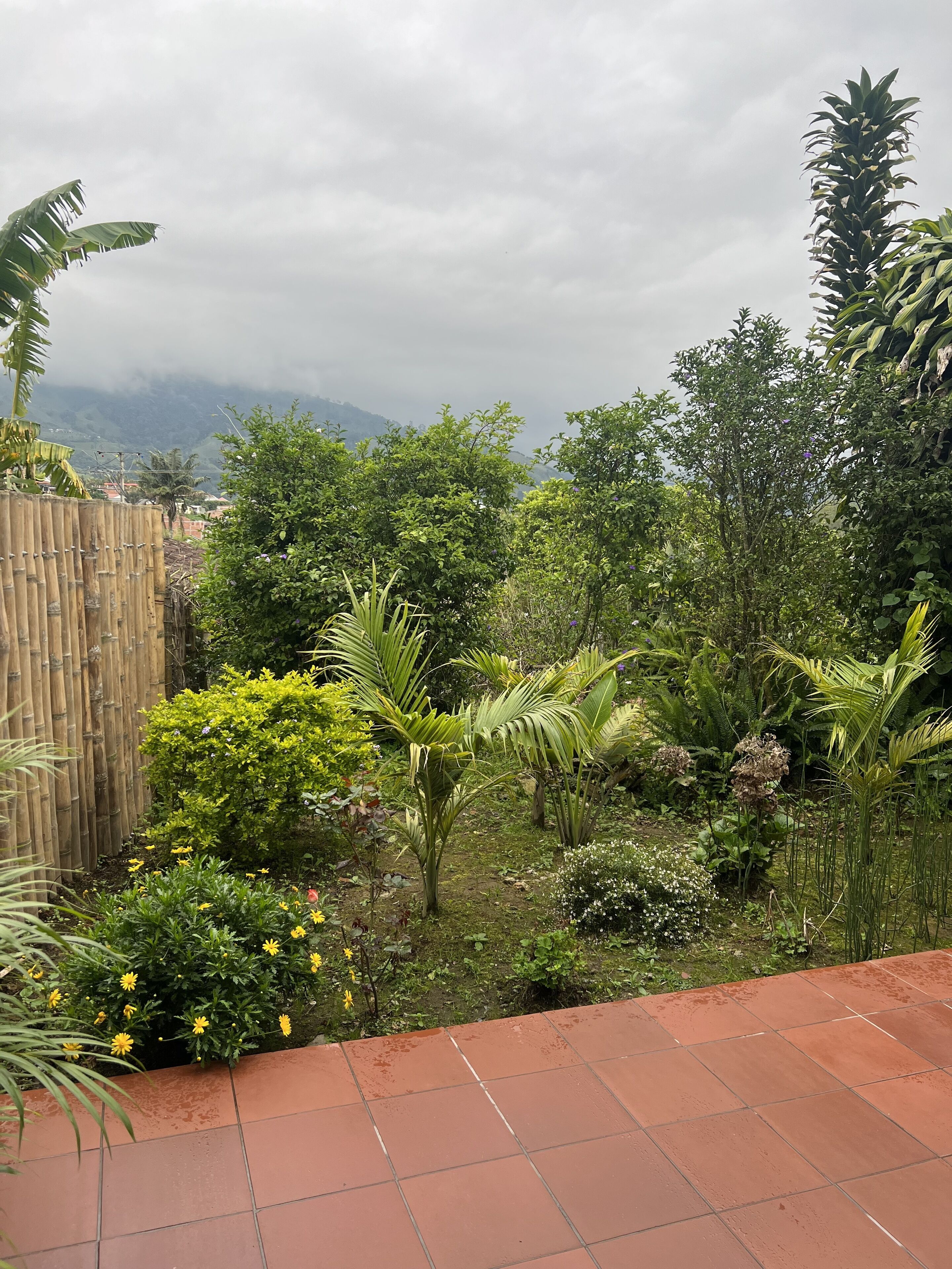A garden with a variety of plants and a bamboo fence.