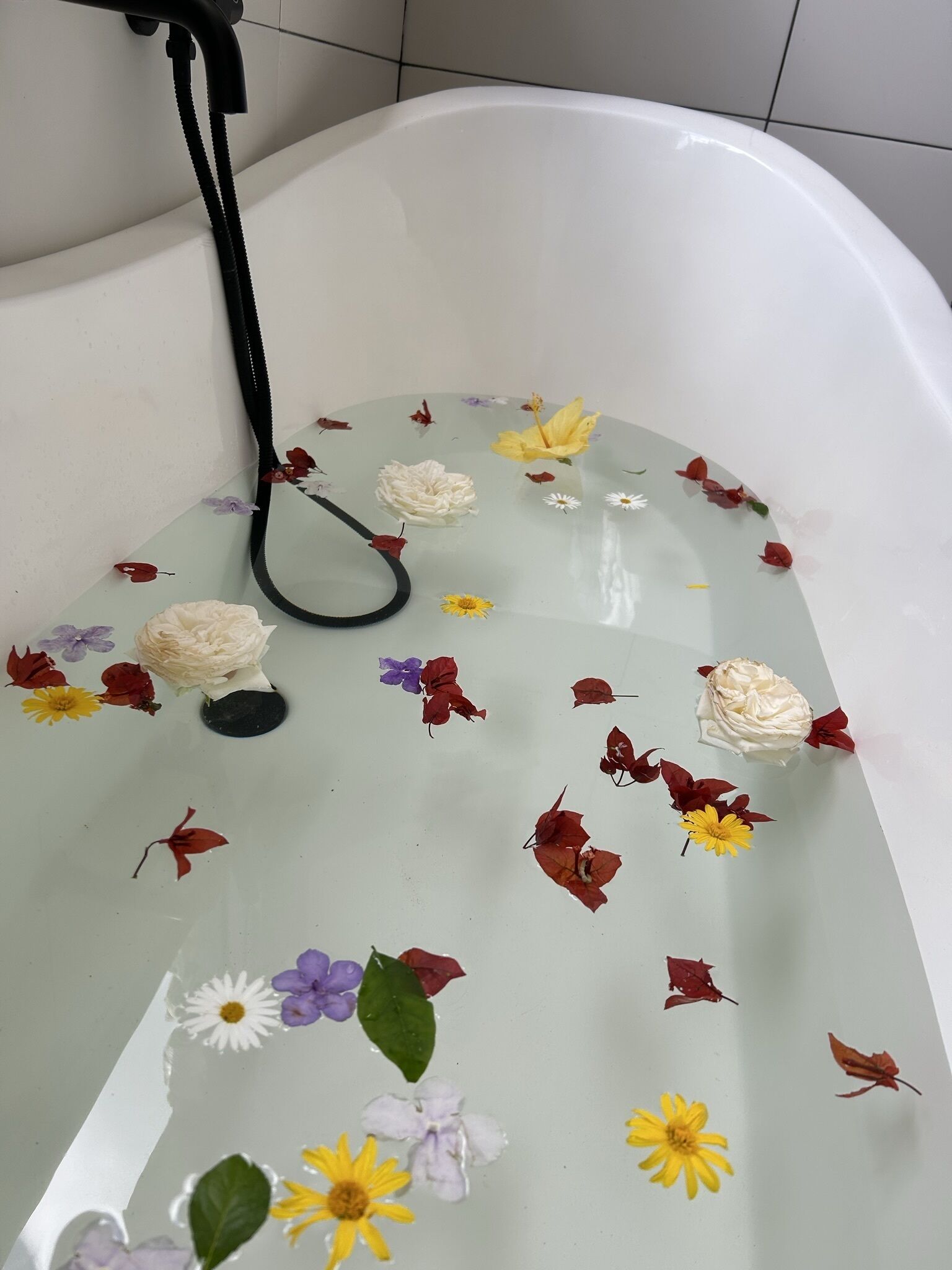 Una bañera con fondo de cristal llena de agua y flores flotando.