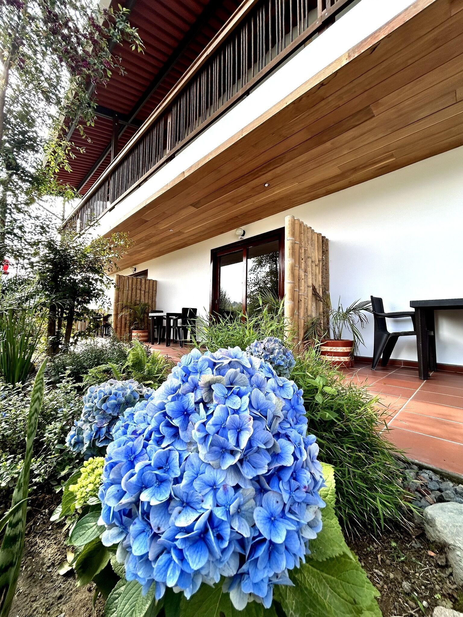 Habitación estándar, vista al jardín | Terraza o patio