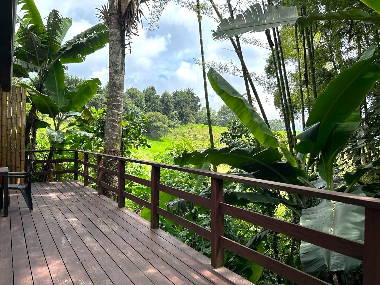 A wooden deck with a railing, surrounded by lush tropical vegetation.
