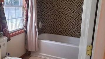 A bathroom with a toilet, a bathtub, and a shower.