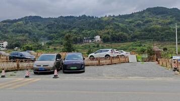 Free self parking