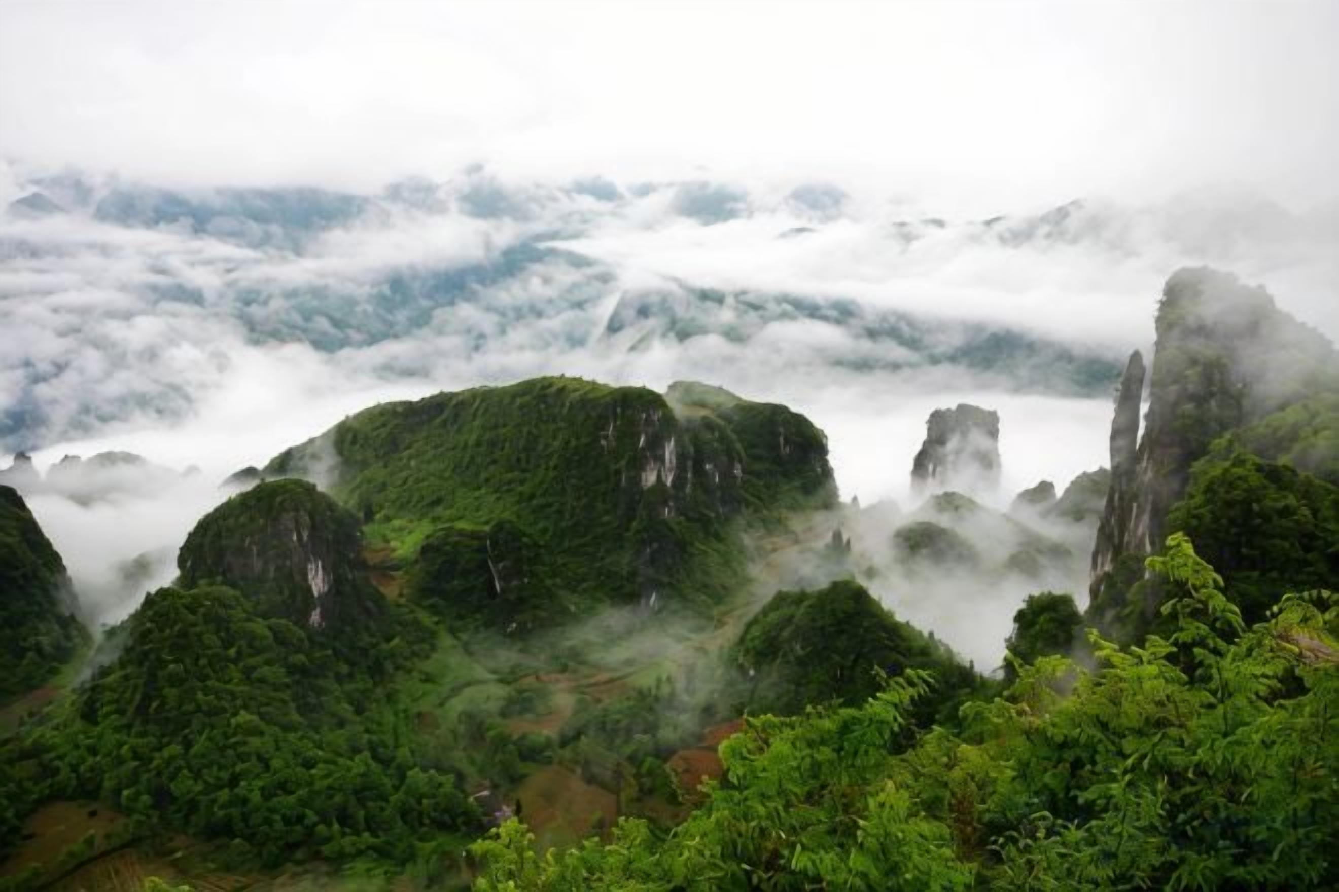 Paesaggio montuoso con vegetazione lussureggiante e cime avvolte nella nebbia.