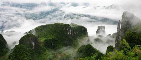 Paesaggio montuoso con vegetazione lussureggiante e cime avvolte nella nebbia.