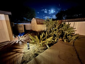 Zona esterna illuminata di notte, con un cactus, una rimessa in legno e un vialetto in mattoni che conduce a una porta.