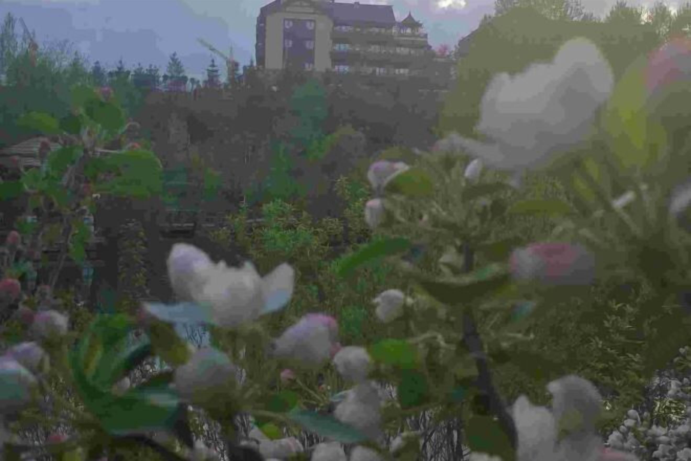 Jardines del alojamiento