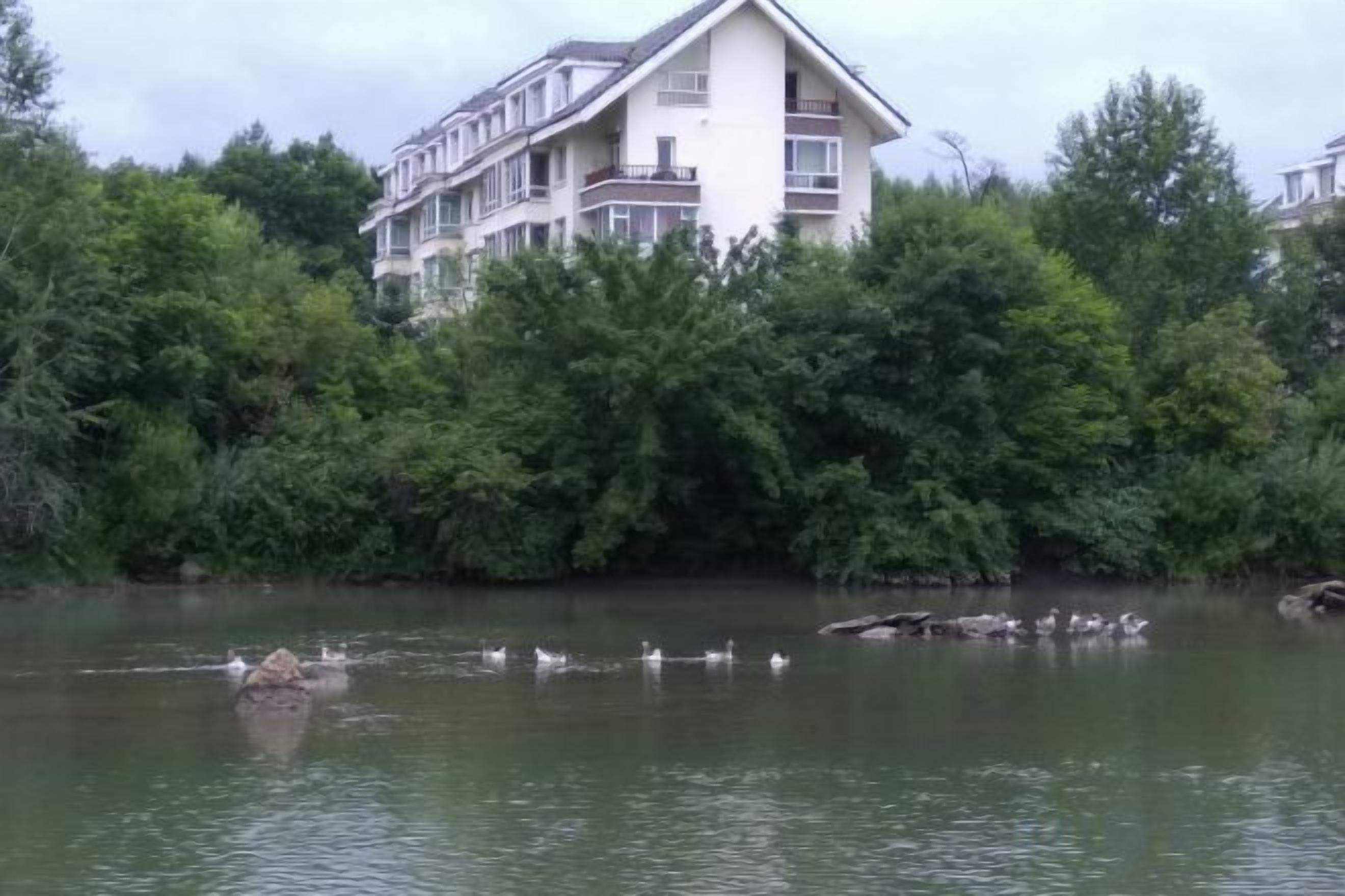Een gebouw met meerdere balkons met uitzicht op een waterpartij met eenden.