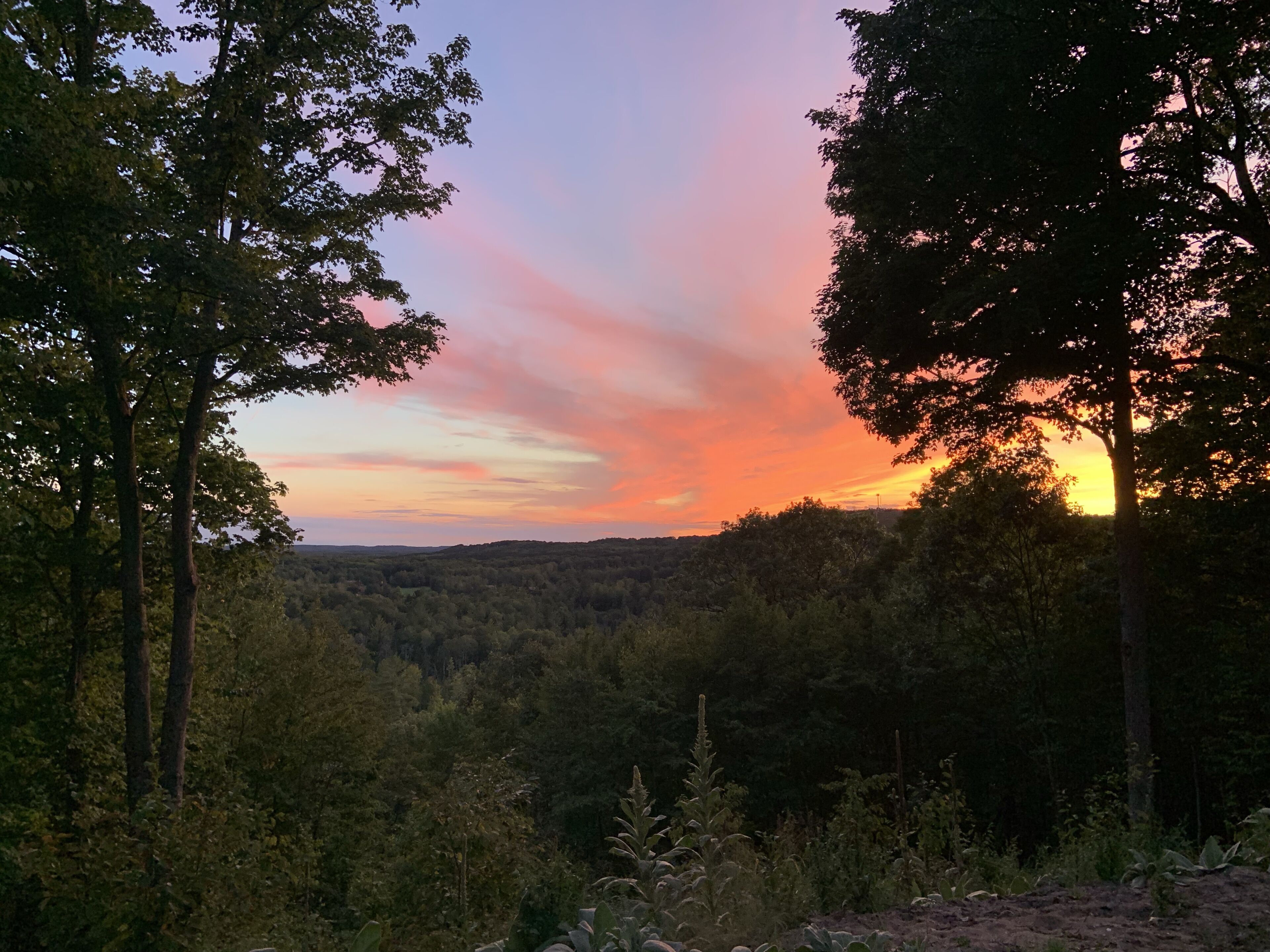 NEW Secluded Mountain View Sunsets overlooking Shanty Creek