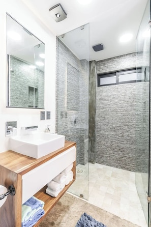 Shower, hair dryer - Loft 301 Summary:<br>We (Puerto Vallarta)