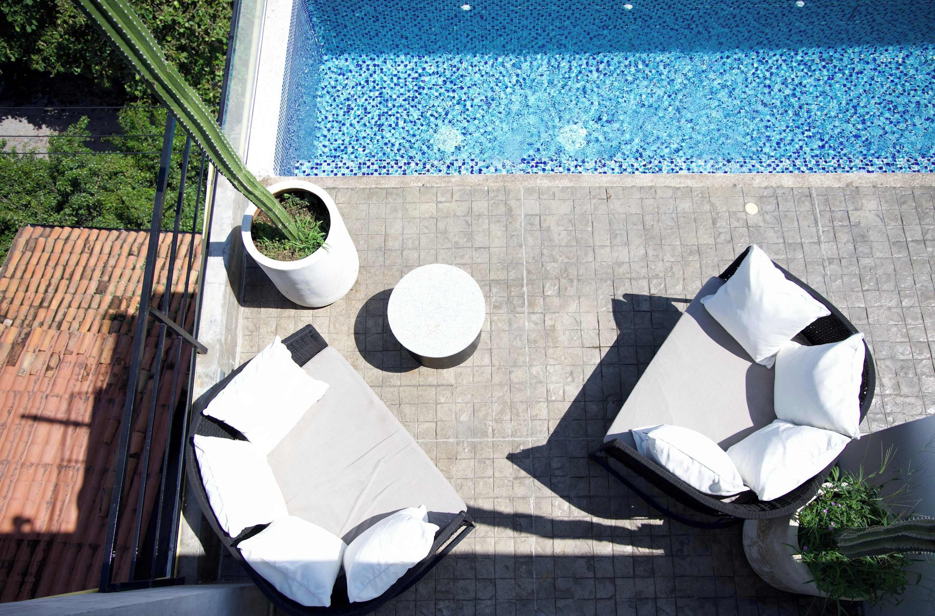 An outdoor pool area with lounge chairs and a cactus plant.