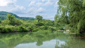 Un lago tranquillo circondato da vegetazione lussureggiante e alberi.