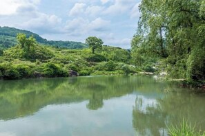 Miscellaneous - Jiangling Yaoji Inn (Wuyuan)