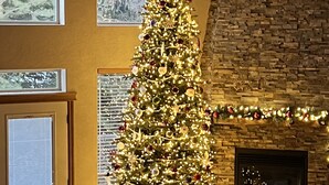 A living room with a large Christmas tree, a fireplace, and framed pictures on the wall. - Beautiful home on the 10th green on Priest Lake Golf Course (Priest Lake)