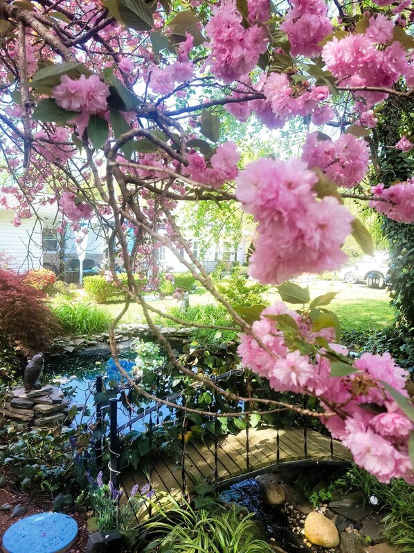 A garden with a pond, pink flowers, and a wooden bridge.