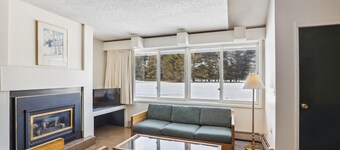 Village Green 8D: 2 br, gas fireplace, resort amenities!