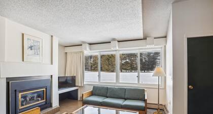 Village Green 8D: 2 br, gas fireplace, resort amenities!