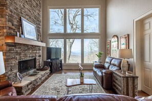 TV, fireplace, DVD player, books