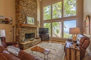 Televisión, chimenea, reproductor de DVD y libros 