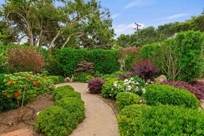 Stroll through the serene garden, surrounded by lush greenery and a meandering pathway.