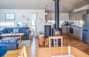 Smart-TV, Kamin